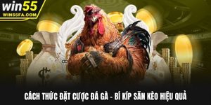 Cách Thức Đặt Cược Đá Gà Win55 - Hướng Dẫn Chi Tiết Từ A-Z