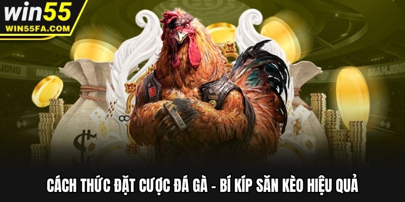 Cách Thức Đặt Cược Đá Gà Win55 - Hướng Dẫn Chi Tiết Từ A-Z