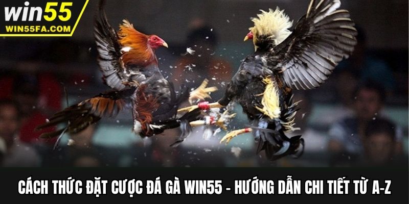 Cách thức đặt cược đá gà - Bí kíp săn kèo hiệu quả