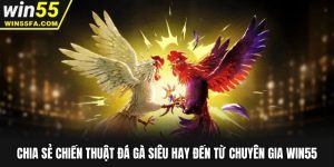 Chia Sẻ Chiến Thuật Đá Gà Siêu Hay Đến Từ Chuyên Gia Win55