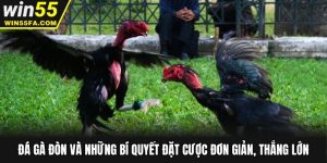 Đá Gà Đòn Và Những Bí Quyết Đặt Cược Đơn Giản, Thắng Lớn