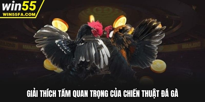 Giải thích tầm quan trọng của chiến thuật đá gà