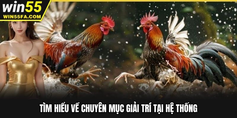 Tìm hiểu về chuyên mục giải trí tại hệ thống